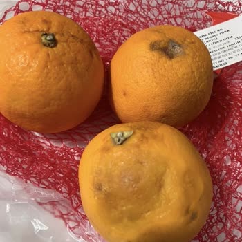 Migros Sanal Market’te Kıyma Ve Pirzola Kalitesiz, Portakal Çürük: İade Ve Açıklama Talebi