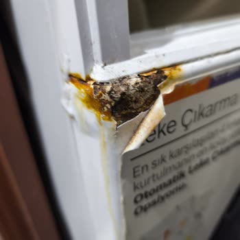 Kapak Lastiği Yırtılması Ve Kasada Küf Sorunu Garanti Kapsamı Dışında Değerlendirildi