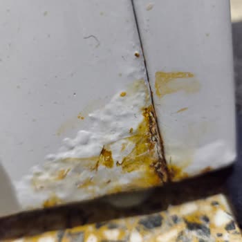Kapak Lastiği Yırtılması Ve Kasada Küf Sorunu Garanti Kapsamı Dışında Değerlendirildi