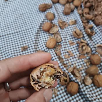 Migros'ta Kabuklu Cevizde Bozulmuş Ve Küflenmiş Ürün Bulunması Sağlık Ve Fiyat Mağduriyeti