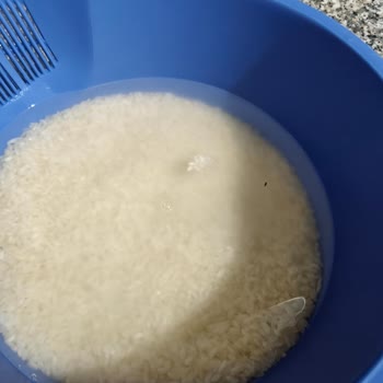 Süresi Geçmiş Ve Böcekli Pirinç Satışı İçin İade Ve Özür Talebi