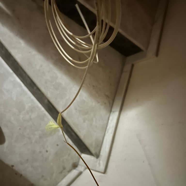 Turkcell Superonline Ekibi İzin Almadan Fiber Kablomu Kesti
