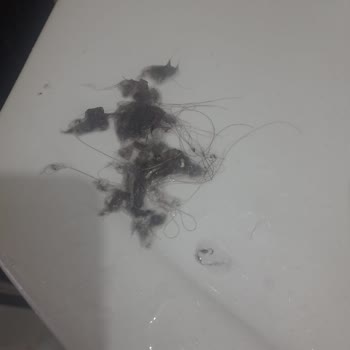 Konya Altınoluk Halı Yıkama’da Temizlik Ve Hijyen Eksikliği, Saygısız Müşteri Temsilcisi