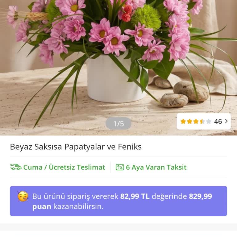 Çiçek Sepeti'nden Beyaz Saksıda Papatyalar Ve Feniks Siparişim Zamanında Teslim Edilmedi
