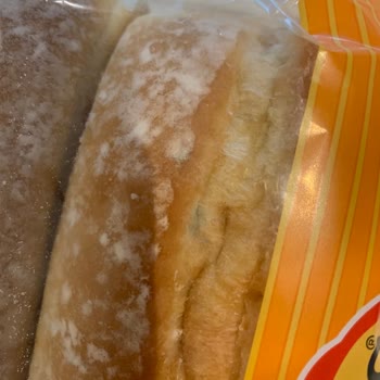 Küflü Sandviç Ekmeği Gönderimi Ve İade Sürecindeki İlgisizlik
