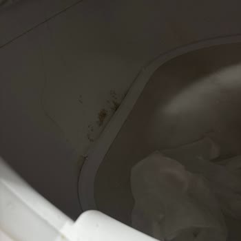 Xenon Akıllı Kedi Tuvaletinde Sürekli Ped Sorunu Ve Garantili Değişim Talebi