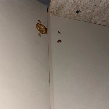 Weltew Home Tarsus Şubesinde Teslimat Gecikmesi, Eksik Dolap Parçası Ve Bozulan Makyaj Masası