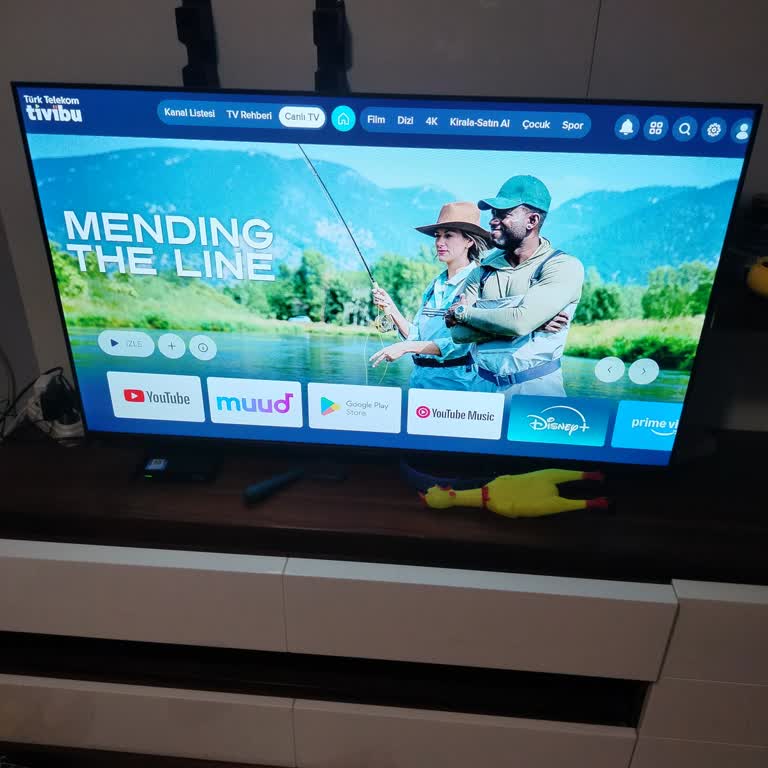 Netflix Uygulamasının Tivibu Kutusunda Olmaması Ve Sözlerin Tutulmaması