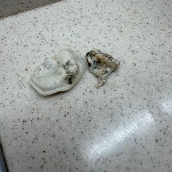 Mantı Atölyesi'nden Gelen Küflü Mantı Ve Pelmeni İçin Sağlık Riski Ve İade Talebi