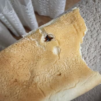 UNO Sandviç Ekmekte Böcek Ve Yabancı Madde Görülmesi