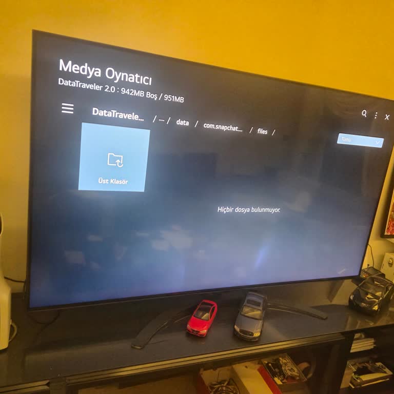 LG 65QNED816QA Televizyonunda Renklenme Sorunu Garantide Çözüm Talebi