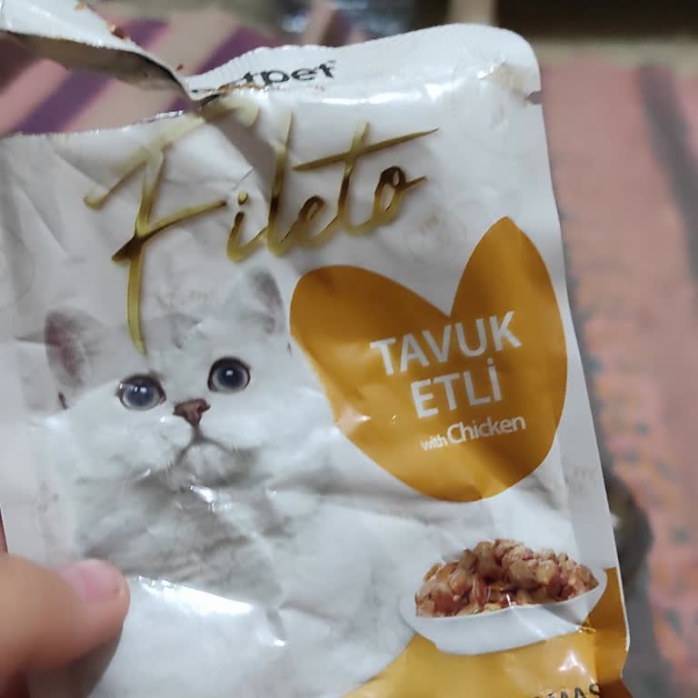 Bestpet Fileto Tavuklu Yaş Mama Kedimde Grip Benzeri Belirtilere Sebep Oldu
