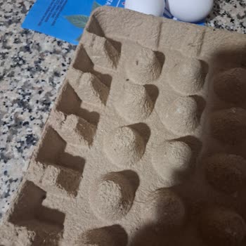 BİM Marketten Satın Alınan Yumurtalarda Böcek Çıktı: Hijyen İhlali