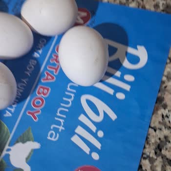 BİM Marketten Satın Alınan Yumurtalarda Böcek Çıktı: Hijyen İhlali