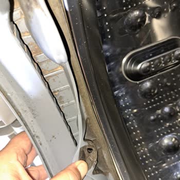 Mantarla Kapak Körüğünün Yol Açtığı Cilt Sorunları Ve Ücretsiz Makine Değişimi Talebi
