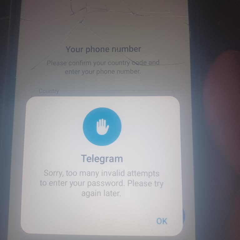 Telegram Two-Step Verification Password Reset Request