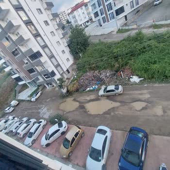 Körfez Mahallesi 5105. Sokakta Asfalt Yokluğu Ve Hamile Eş İçin Güvenlik Tehlikesi