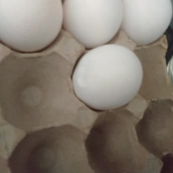 Şok Markette Kırık Yumurta Şikayeti: Ürün Yerleştirme Ve Kontrol Süreçlerine Dikkat