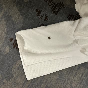 Böcekli Odalar, Hijyen Sorunu Ve İade Sözünün İnkârı