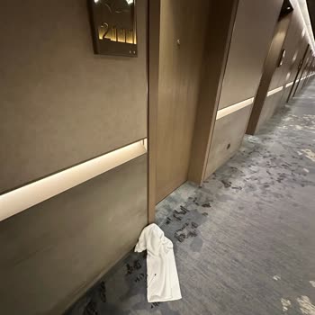 Böcekli Odalar, Hijyen Sorunu Ve İade Sözünün İnkârı