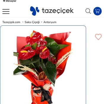 Taze Çiçek'te Ürün Görseliyle Uyuşmayan Siparişte İptal Ve İade Reddi
