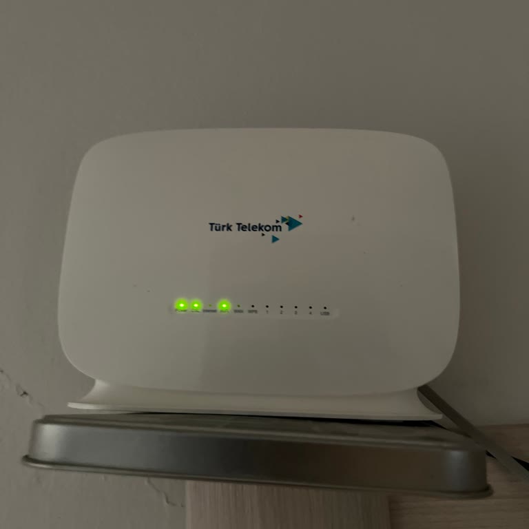 Elektrik Kesintisi Sonrası DSL Bağlantısı Kesiliyor Ve Kalıcı Port Değişikliği Talebi
