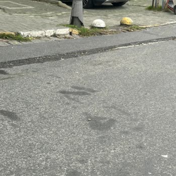 Avcılar Belediyesi'nden Üniversite Mahallesi Çukurlu Yolda Acil Onarım Talebi