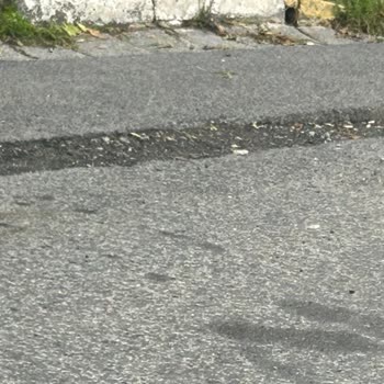 Avcılar Belediyesi'nden Üniversite Mahallesi Çukurlu Yolda Acil Onarım Talebi