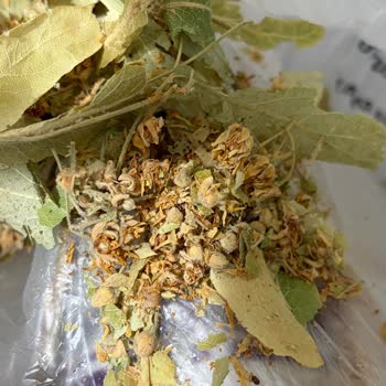 Beta Tea Bitki Çaylarında Güve Ve Kurt Görüldü Sağlık Riski Ve Güven Kaybı