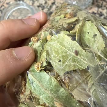 Beta Tea Bitki Çaylarında Güve Ve Kurt Görüldü Sağlık Riski Ve Güven Kaybı
