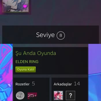 Steam Hesabına İzinsiz Giriş Ve Yetkisiz Oyun Alımları İadesi Talebi