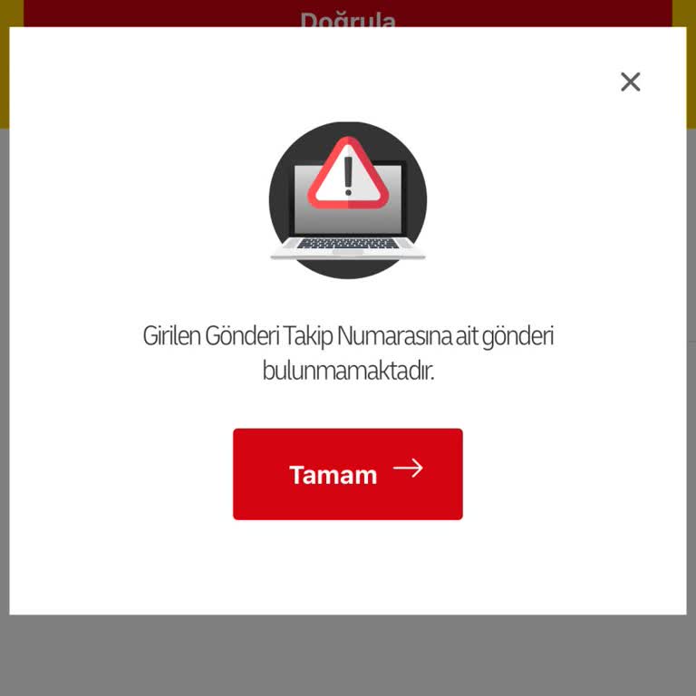 Flaw Wear Siparişi İçin DHL Takip Numarası Bulunamıyor Ve Gönderi Durumu Belirsiz