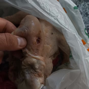Hakmar M***** A*** Mağazasında Bozuk Tavuk İadesi Reddedildi