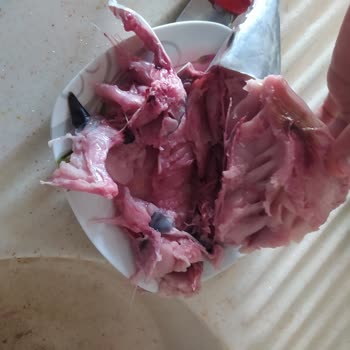 Migros Mudanya’da Bayat Palamut Satışı Ve İade Talebi
