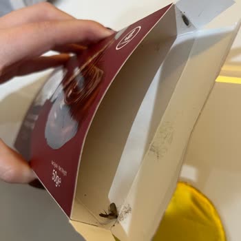 Migros Hemen Ürününde Böcek Bulunması Ve Cevapsız Şikayet