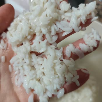 Yayla Zenginleştirilmiş Baldo Pirinçte Yarı Diri, Yarı Şişmiş Kalite Sorunu