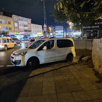 Pendik'te Kaldırımlar Araç Parkına Dönüştü, Denetim Talebi
