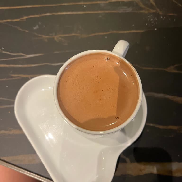 Menüde Görülen Sunuma Uymayan Sıcak Çikolata İçin Telafi Talebi