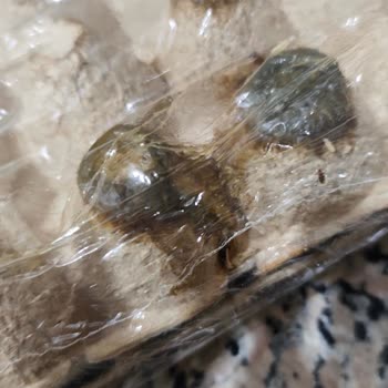 Yemeksepeti'nden BİM Marketten Bozuk Yumurta Teslimatı Ve İade Talebi