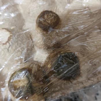 Yemeksepeti'nden BİM Marketten Bozuk Yumurta Teslimatı Ve İade Talebi