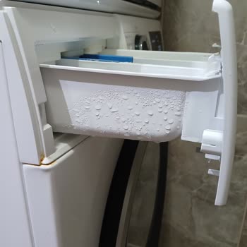 Bosch Çamaşır Makinesinde Üretim Hatası: Boya Kabarması Ve Çekmece Terlemesi, Tam Değişim Talebi