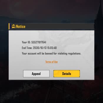 Dear BGMI Support Team, > Plz Review My Account Again UID 55527817641