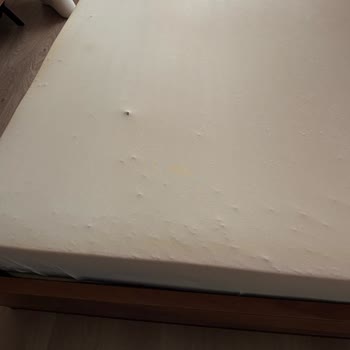 İşbir Yatak'ta Küf Ve Mantar Sorunu: Ücretsiz Değişim Talebi