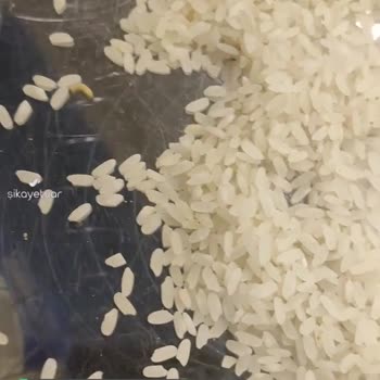 Duru Pirincin İçindeki Yaşamlar