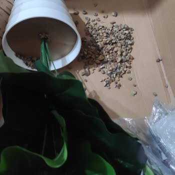 LCW Home'dan Gelen Kırık Saksı Ve Taşların Dökülmesi