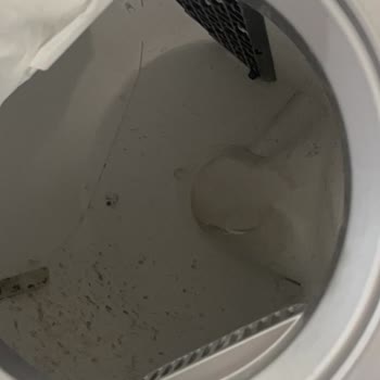 Kiwi Pets Otomatik Kedi Tuvaleti Gri Ped Temini Ve Müşteri Desteği Yok