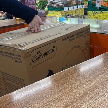 Kiwi Pets Otomatik Kedi Tuvaleti Gri Ped Temini Ve Müşteri Desteği Yok