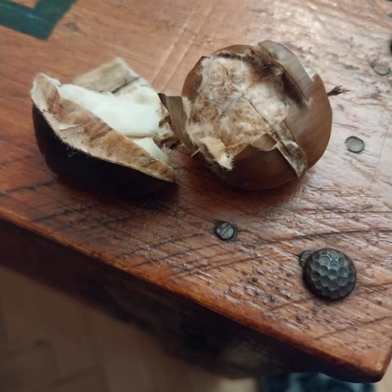 Ücretli Kestanede Kalitesiz Ürün Ve Çocuk Sağlığı Riski