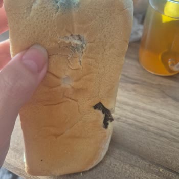 UNO Markasının Küflü Sandviç Ekmeği Ve Cevapsız Şikayet