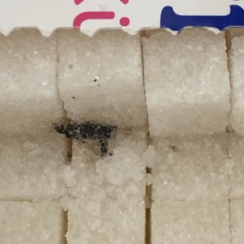 Carrefour SA Şeker Ürününde Siyah Kontaminasyon Ve Cevapsız Şikayet